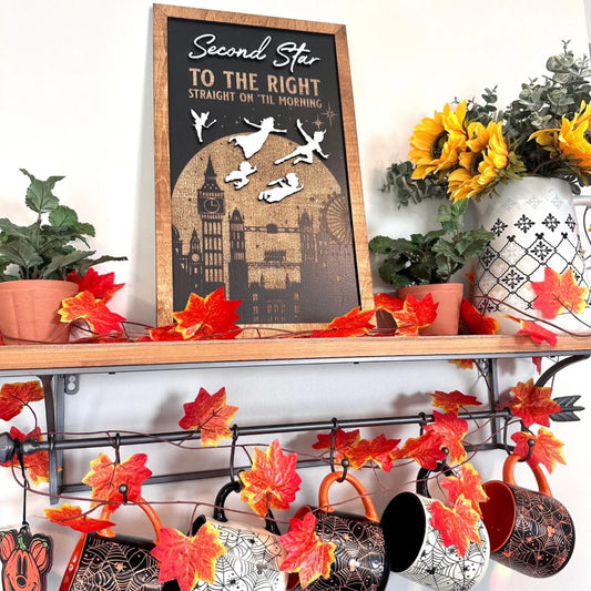 Second Star Park-Inspired Framed Sign