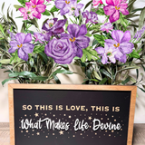 What Makes Life Devine Framed Wall Sign
