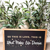 What Makes Life Devine Framed Wall Sign