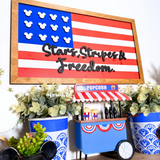 Stars, Stripes & Freedom | Patriotic Park-Inspired Framed Sign