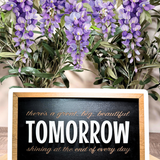 There's A Great Big Beautiful Tomorrow | Horizontal Framed Sign