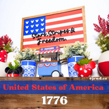 Stars, Stripes & Freedom | Patriotic Park-Inspired Framed Sign