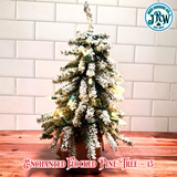 Enchanted Flocked Pine Tree – 15″ | Enchanted Mini Tree Kit Tree