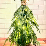 Enchanted Soft Touch Pine Tree – 25″ | Enchanted Mini Tree Kit Tree