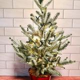 Royal Dreams Enchanted Mini Christmas Tree Kit