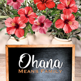 Ohana Means Family | Park-Inspired Framed Sign