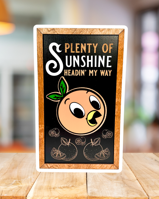 Plenty of Sunshine Park-Inspired Framed Sign | Wooden Wall Art & Handmade Home Decor | 10.9in x 18.5in